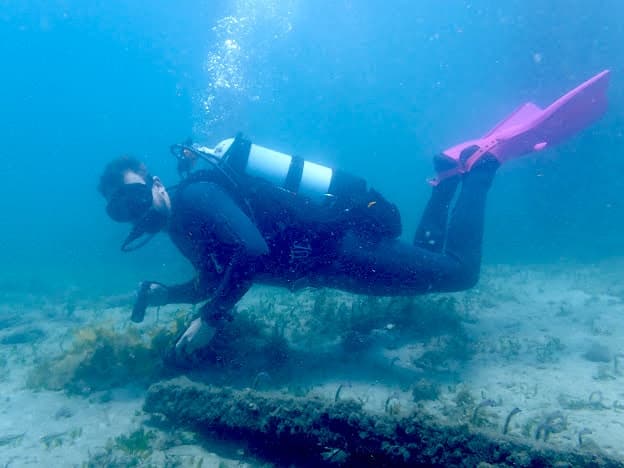 Scuba diver inspecting reef seafloor during tropical dive