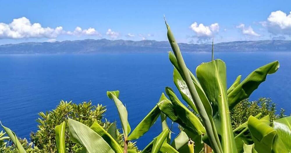 Private Pico Island Tour: Explore Portugal’s Longest Lava Tube & Volcanic Caves