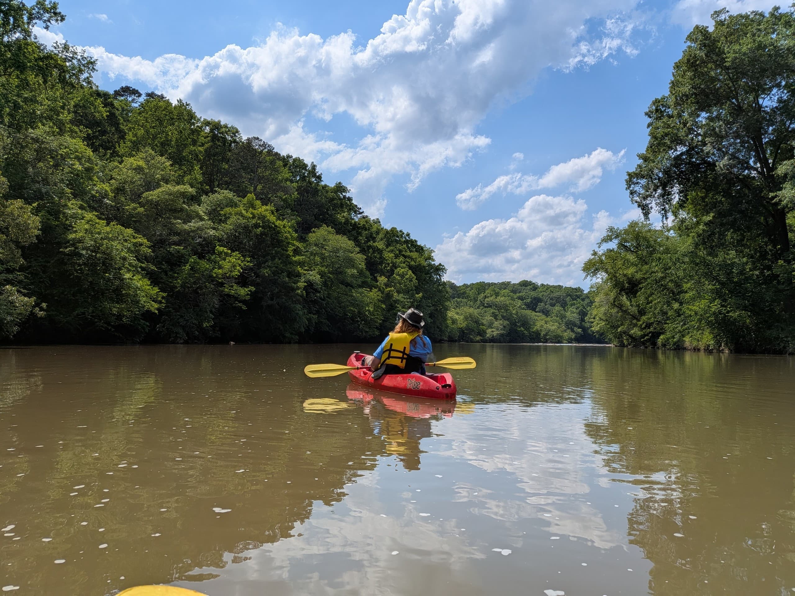 Broad River Kayak Trip to The Sandbar — Half-Day Paddle & Riverside Relaxation photo 4