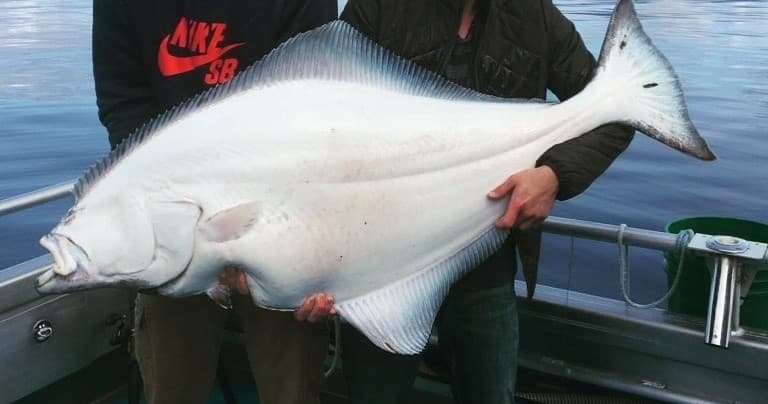 Halibut & Salmon Fishing with Game Creek Guides in Hoonah