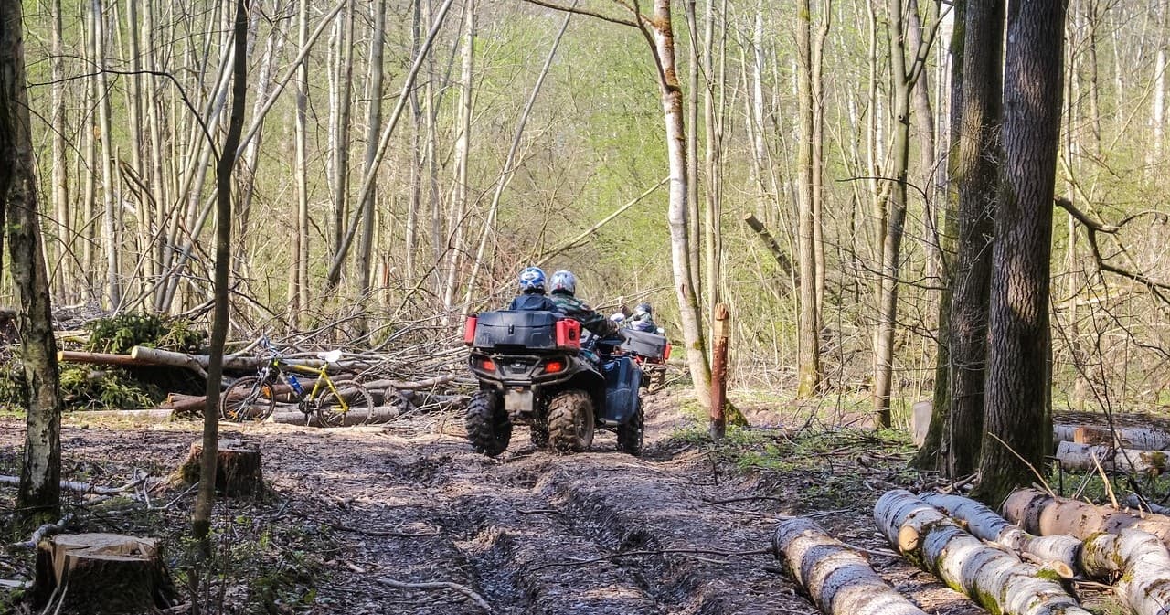 ATVs riding along muddy forest trail in scenic woodland adventure