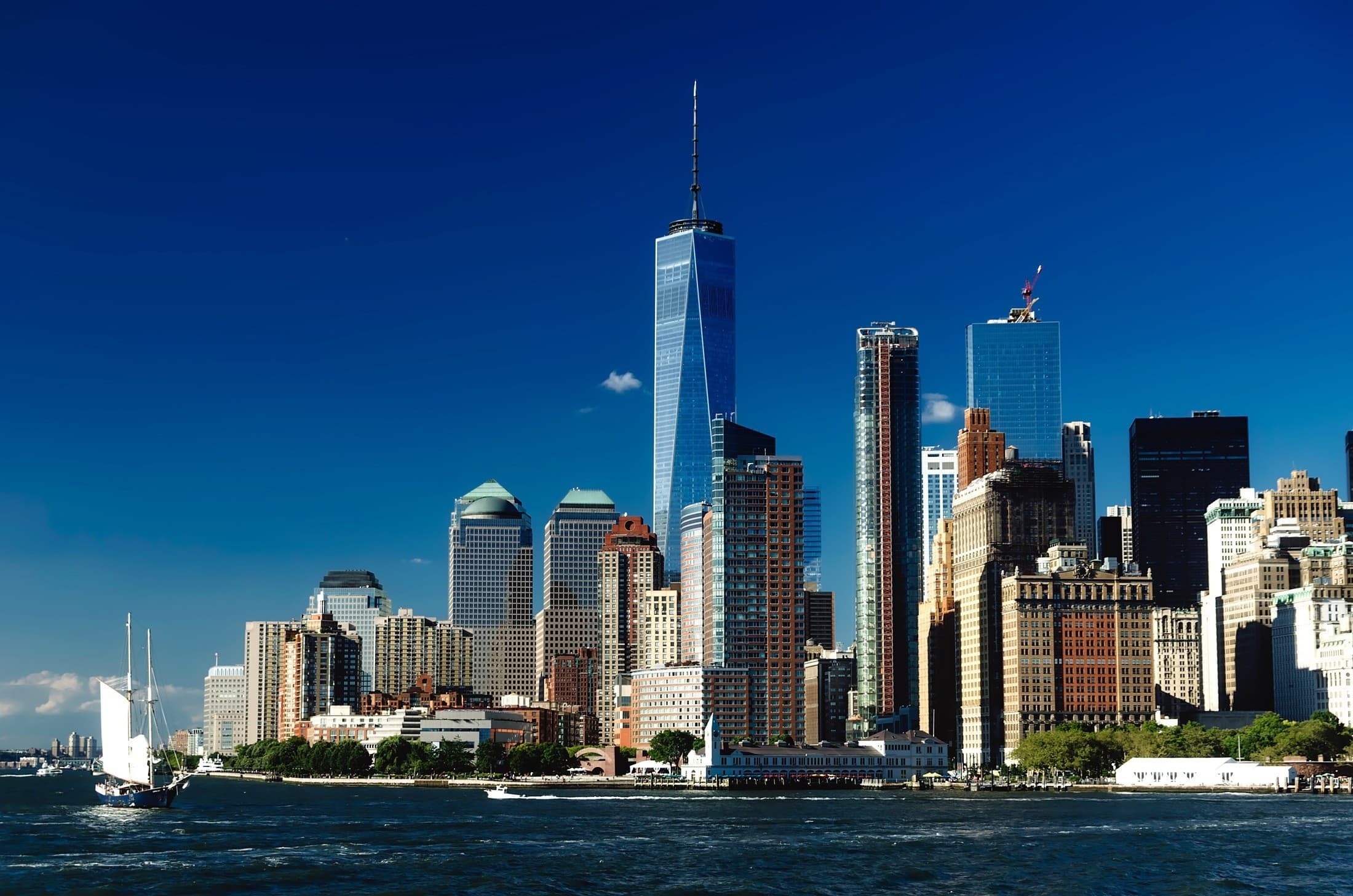 Sunset Sail on the Liberty Clipper: Tall Ships, Marine Life & NYC Skyline photo 3
