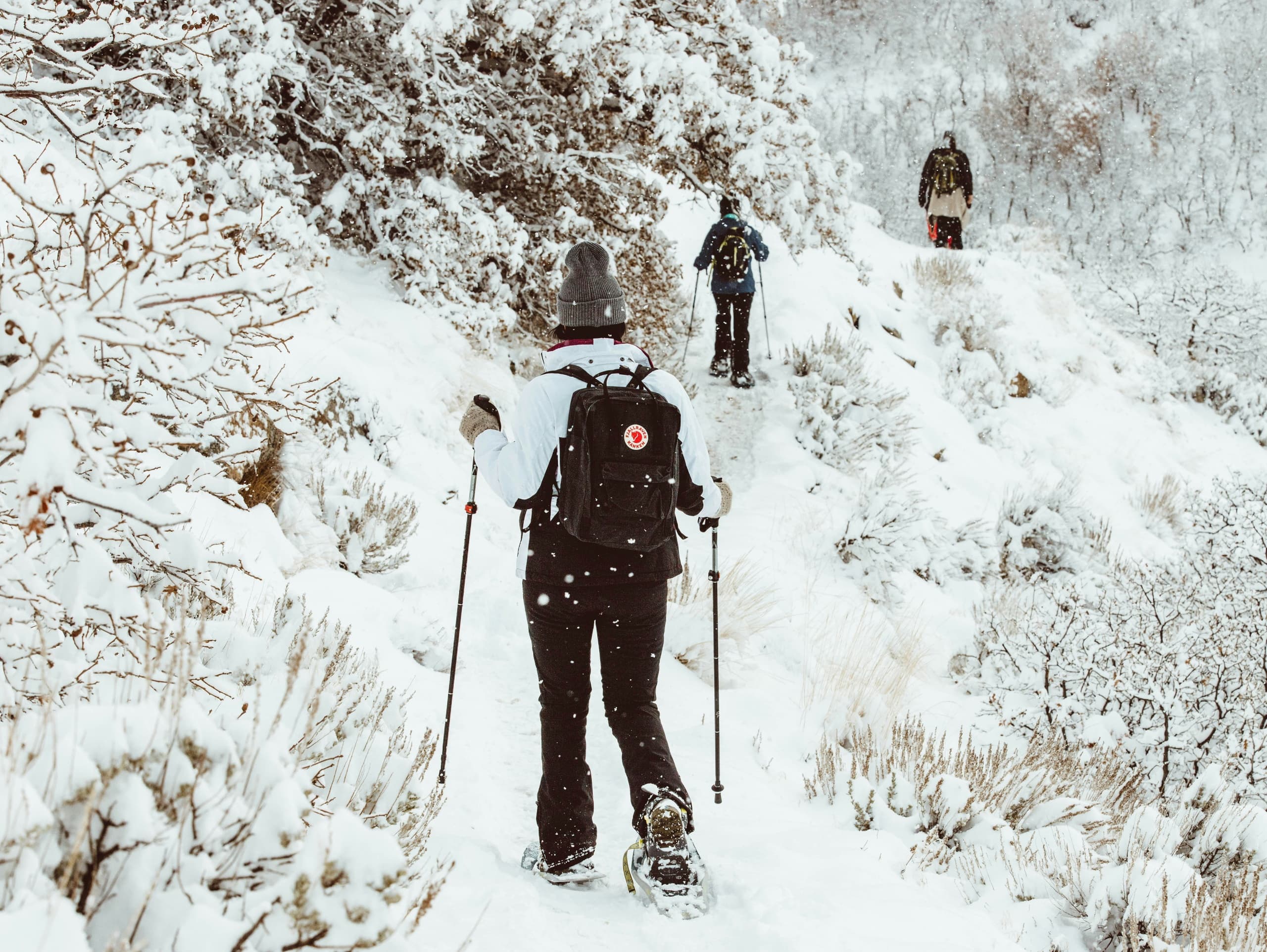 Snowshoe Tour Adventure in Homewood, California