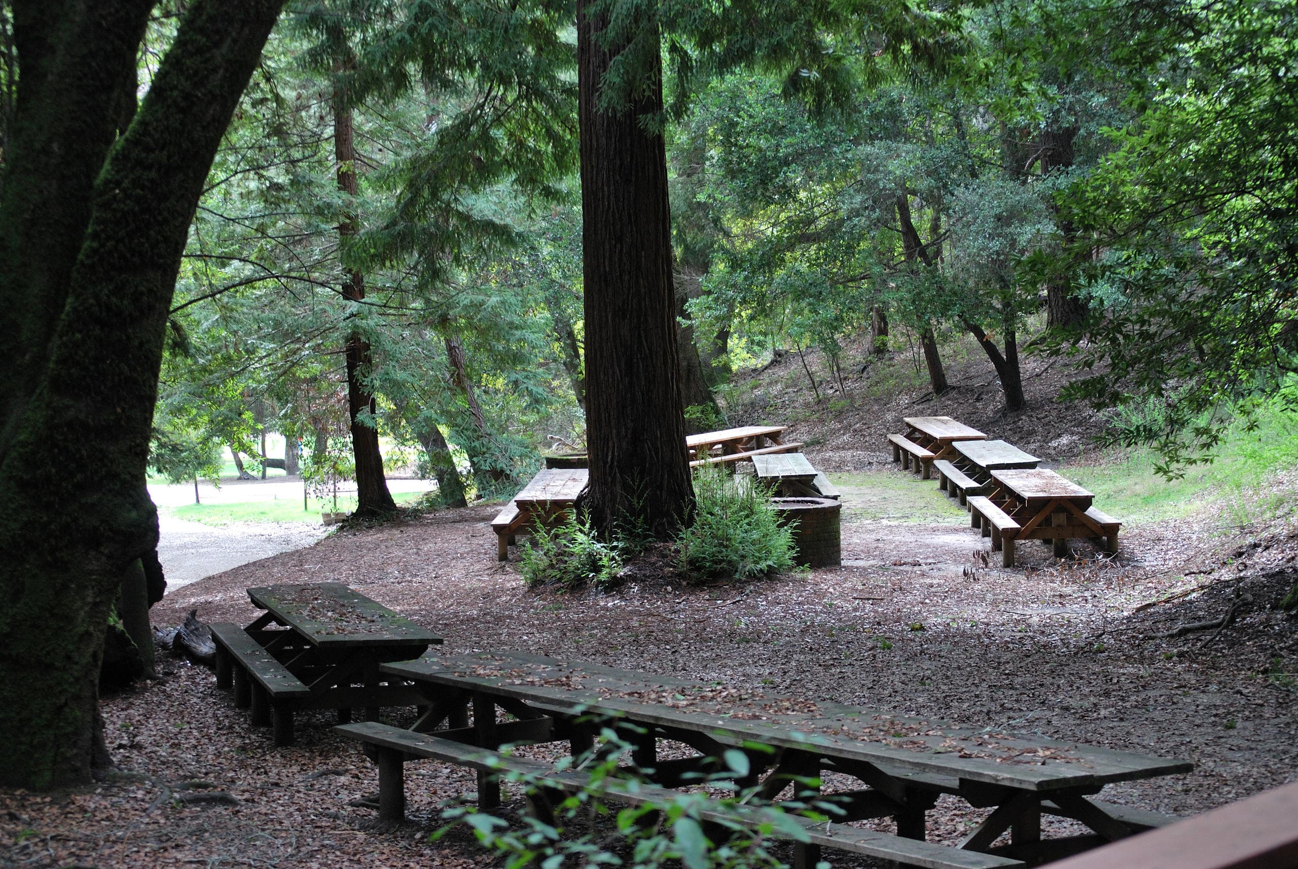 Outdoor Picnic Sites in Felton, CA at Roaring Camp Railroads