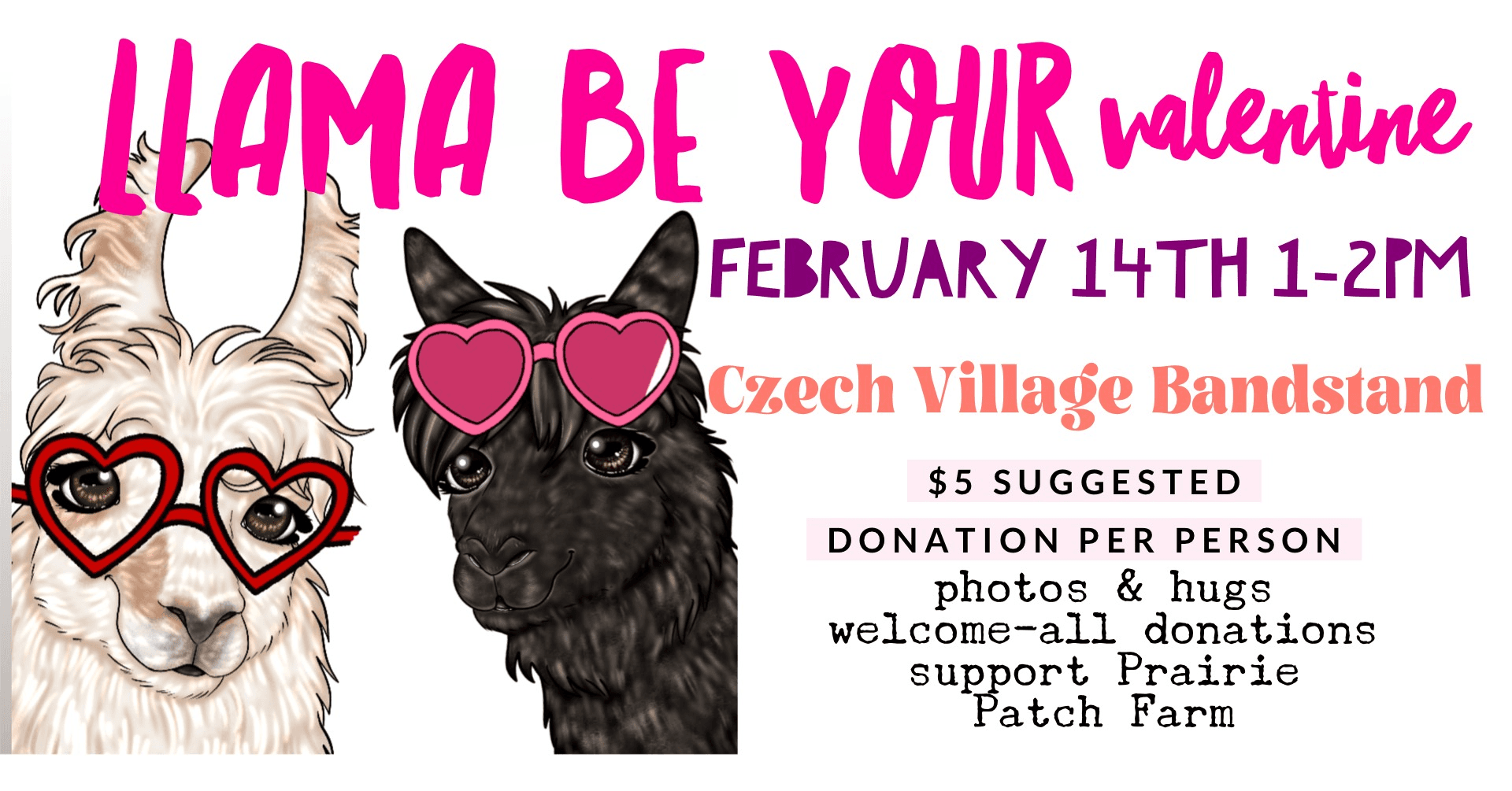 Cedar Rapids Valentine Llama Meet & Greet at Czech Village