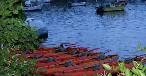 Full Moon Kayak Adventure in Fajardo, Puerto Rico
