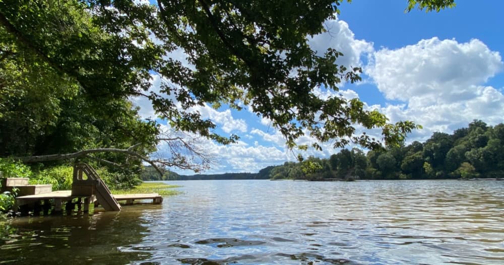 Explore Tranquil Waters: Four Hour Saxapahaw Lake Kayak & Canoe Adventure in Graham, NC
