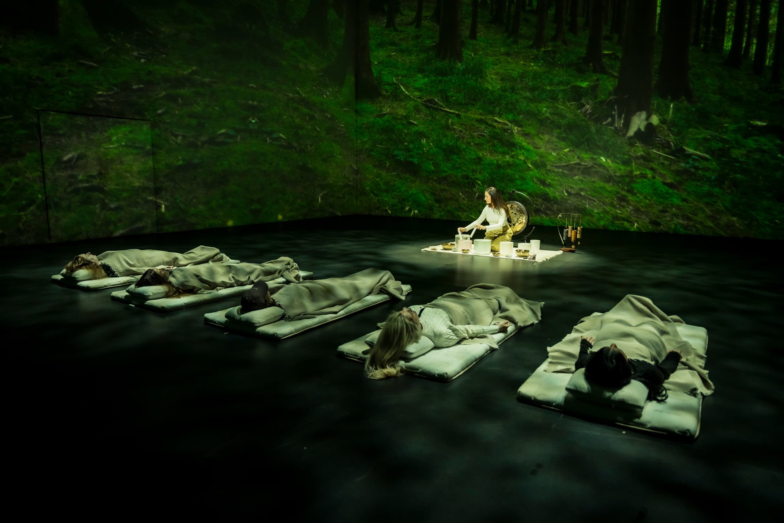 Forest Meditation in Dubai: Earth Month Immersive Experience at Theatre Of Digital Art