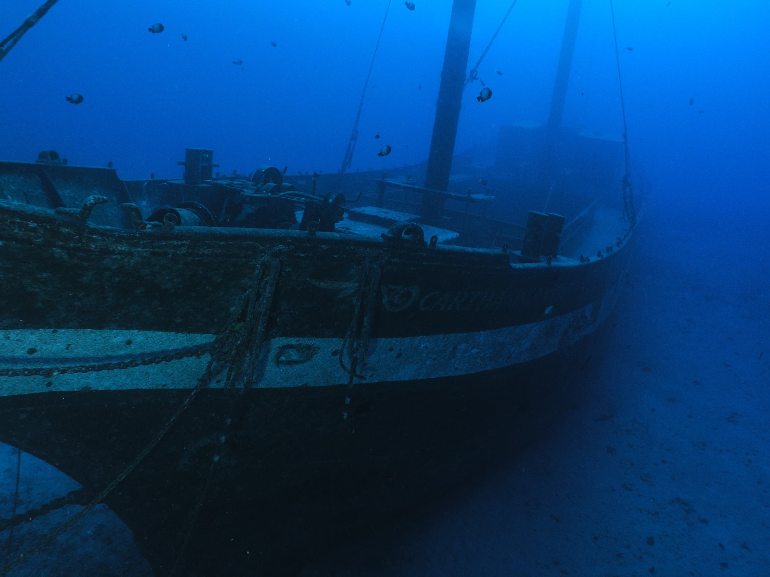 Maui Wreck Dive: Explore the Carthaginian Shipwreck from Lahaina Harbor photo 1