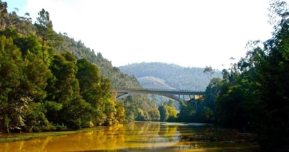 Forest-lined river with arched bridge and tranquil water