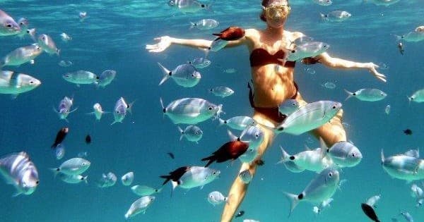 Explore Olbia’s Coastal Beauty: Private Sundeck Boat Tour with Snorkeling and Local Tastings