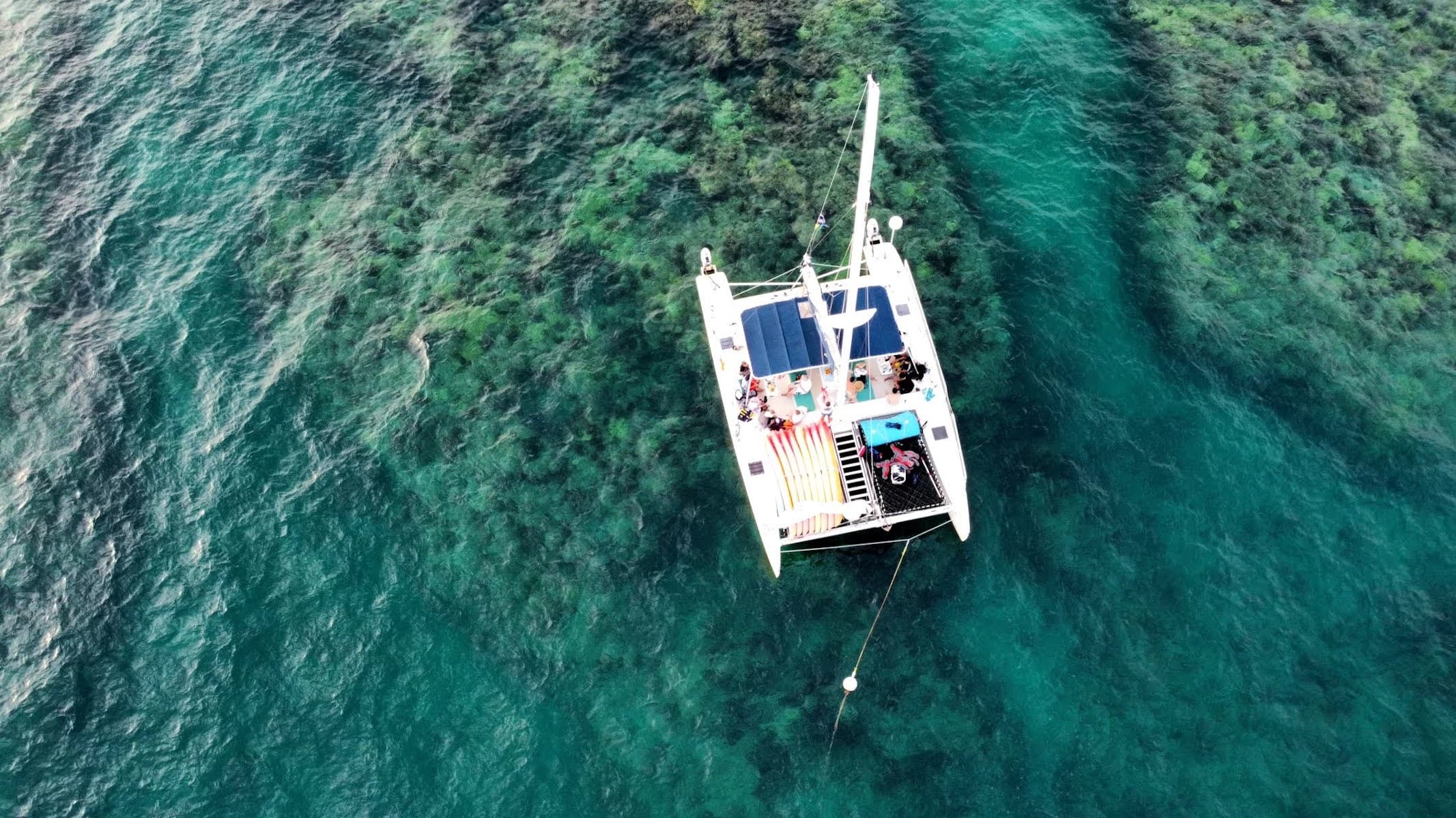 Catamaran anchored over vibrant coral reef in clear tropical waters