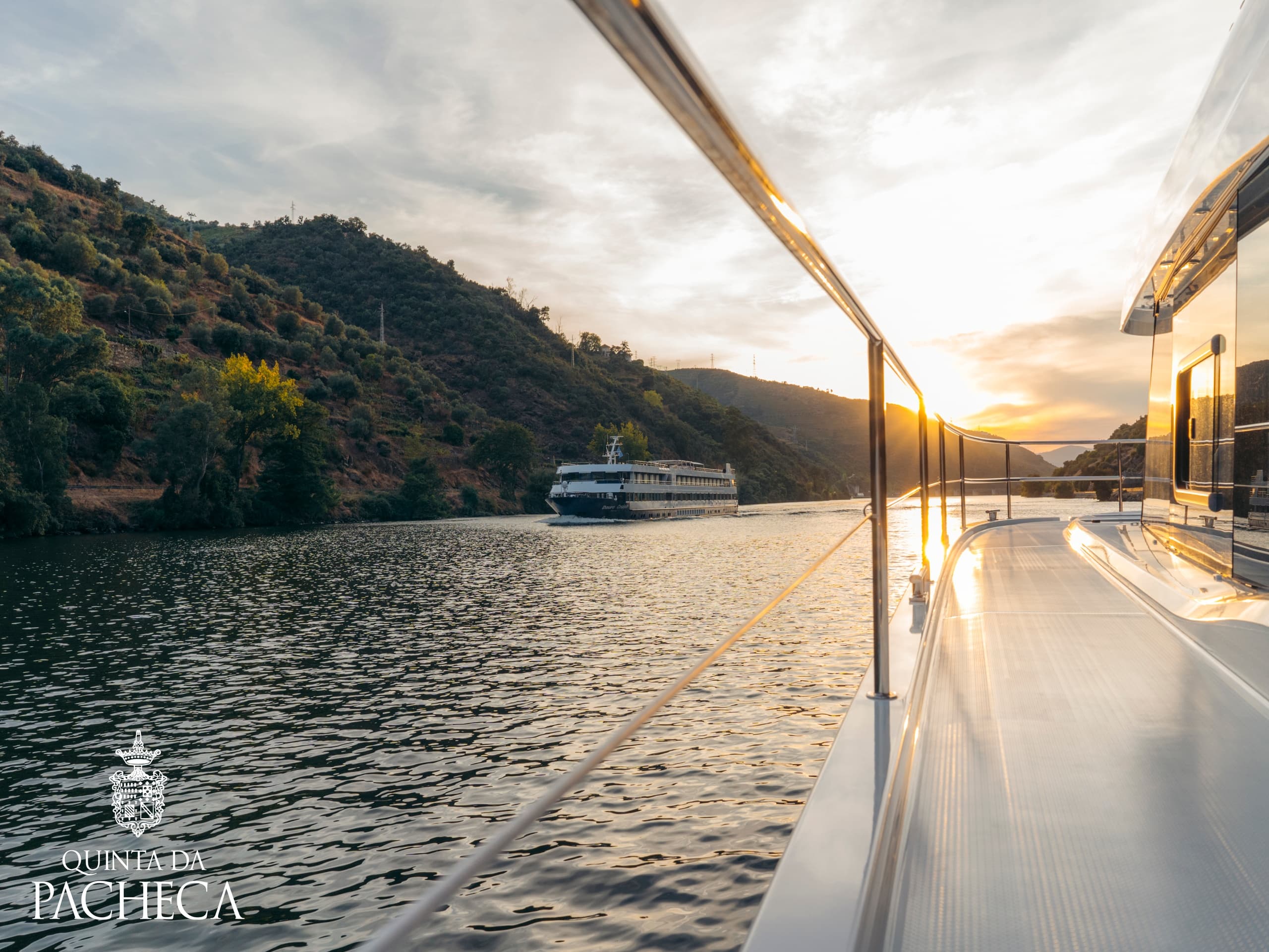 Douro Vineyard Picnic Tour at Quinta da Pacheca