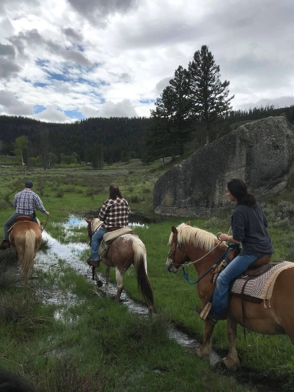 Yellowstone Riverside Evening Cookout: Horseback & Wagon Dinner Under the Stars
