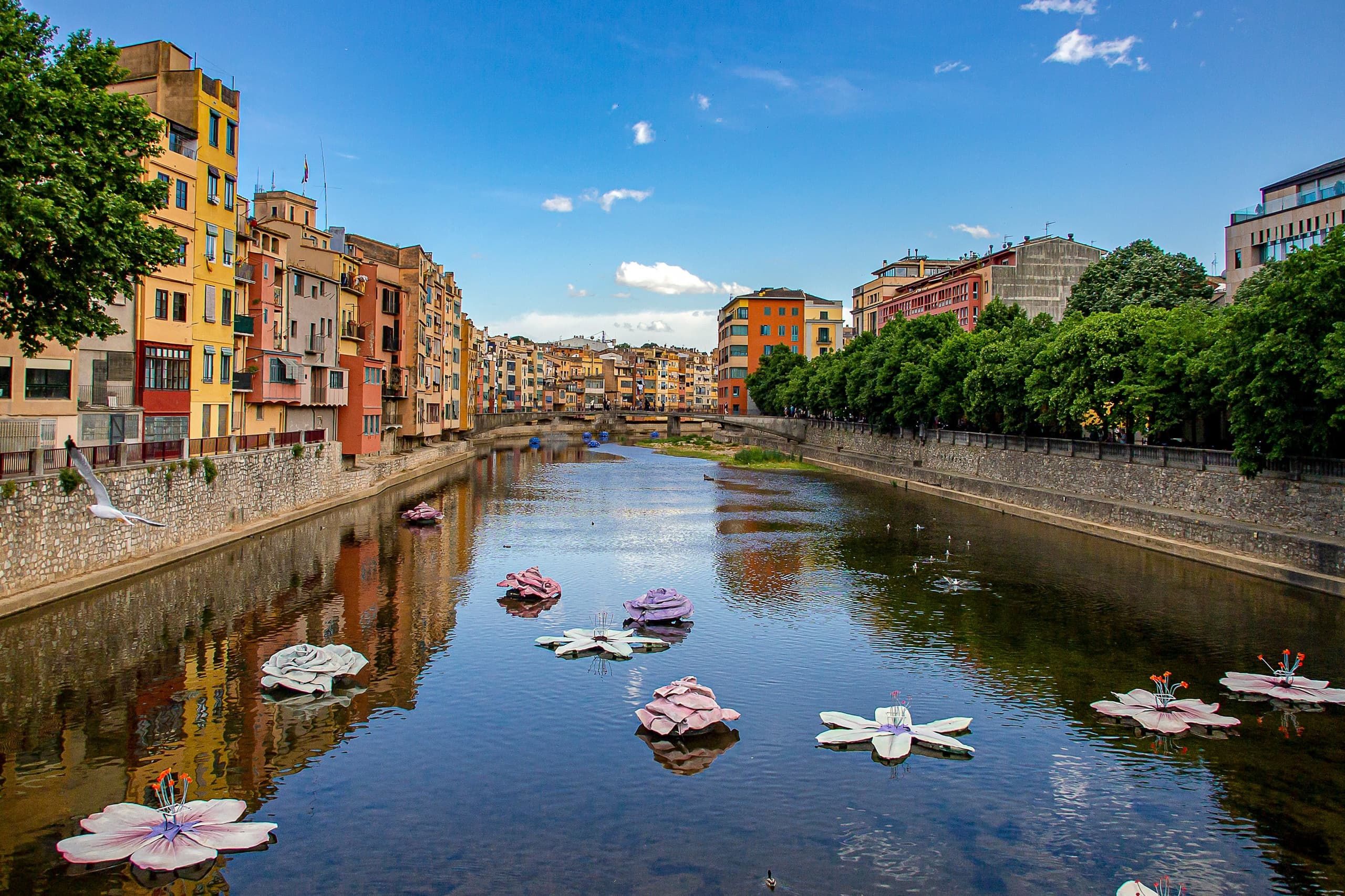 Luxury Transfer Service in Girona by Movvip