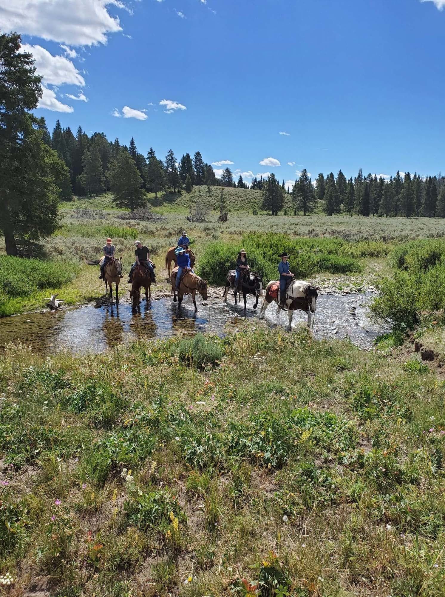 Group horseback riders crossing shallow creek in forest meadow