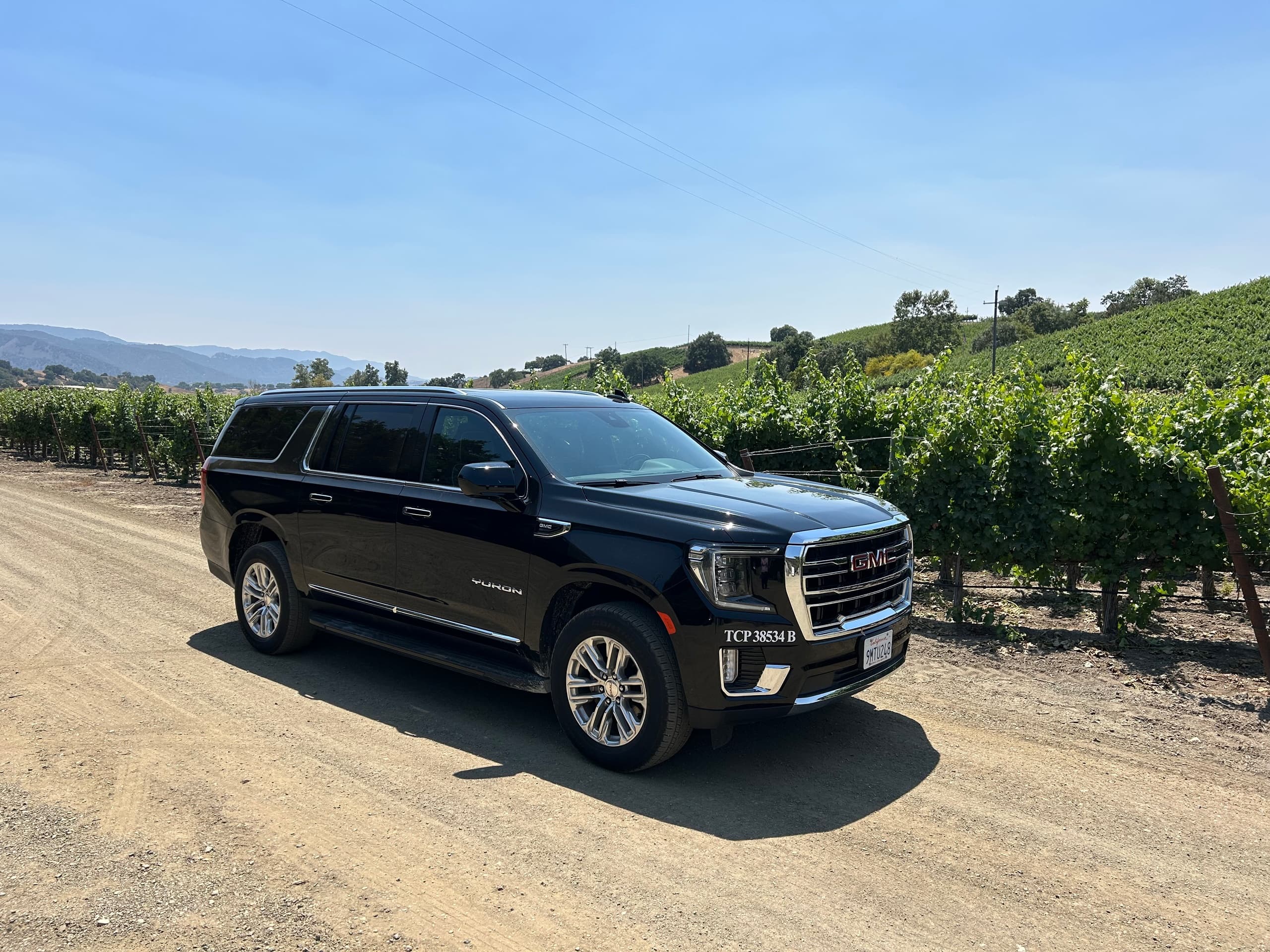 Exclusive Wine Tastings with Villa Wine Tours in Santa Barbara