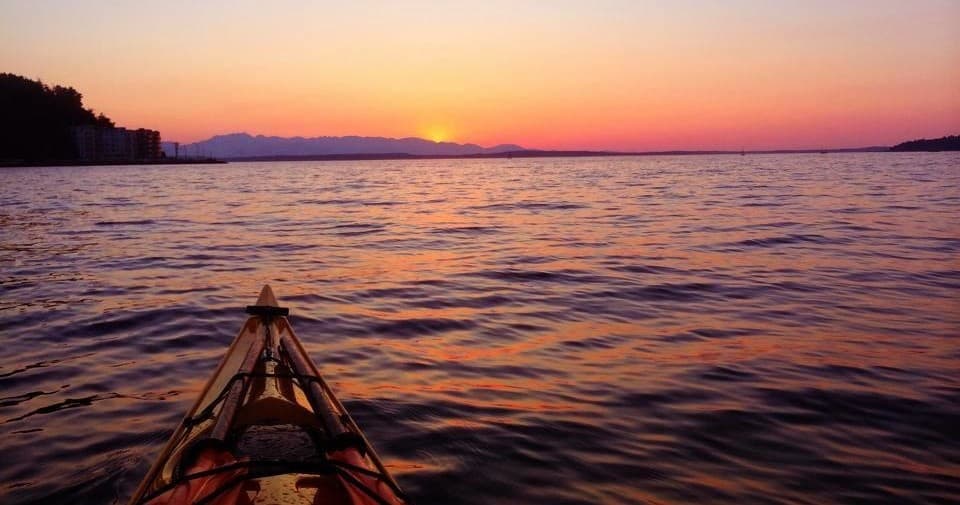 Alki Kayak Tours fleet