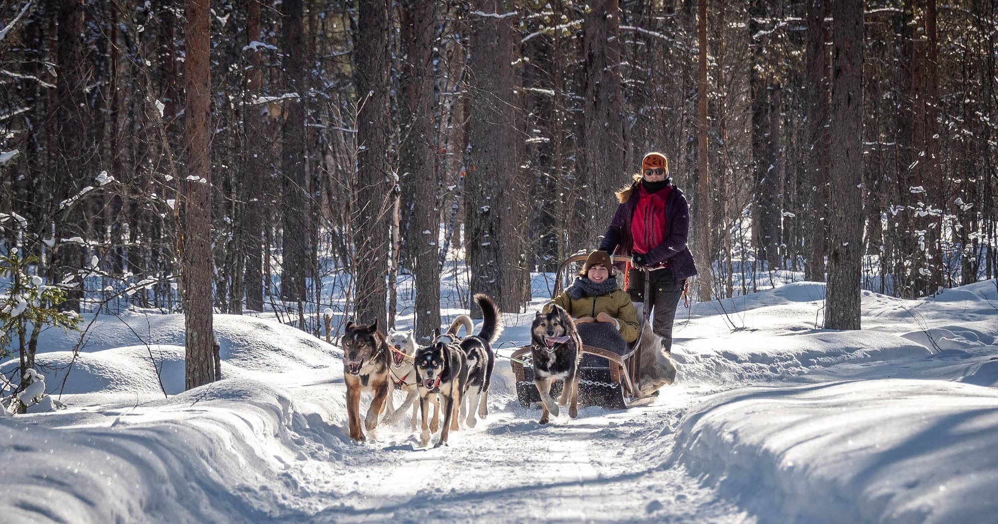 Winter Adventures at Levi: Husky & Reindeer Sled Rides with Polar Lights Tours