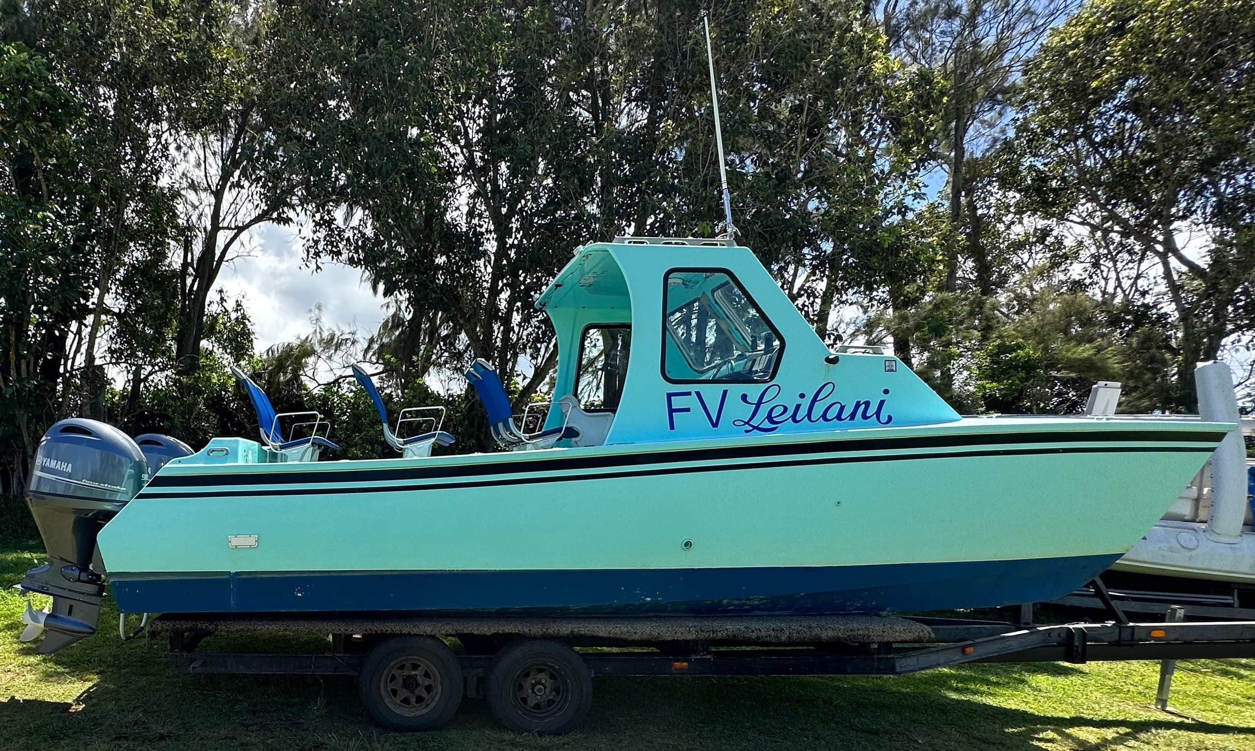 Dolphin Cruises & Crab Island Tours in Destin - Destin Dolphin Cruise