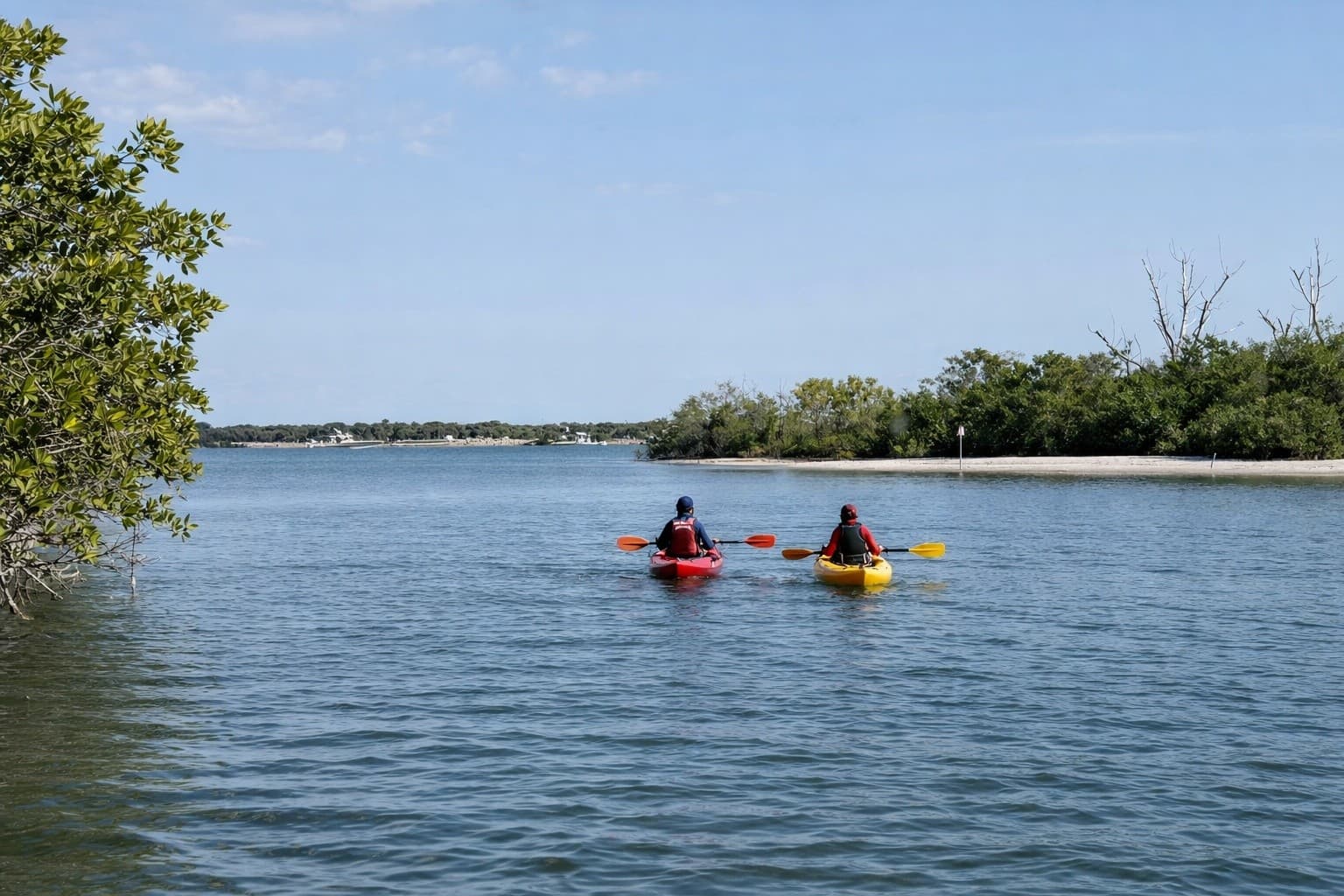 Solo Kayak Rentals at Sebastian Inlet: Paddle the Indian River Lagoon with Sunshine Paddle Tours photo 2