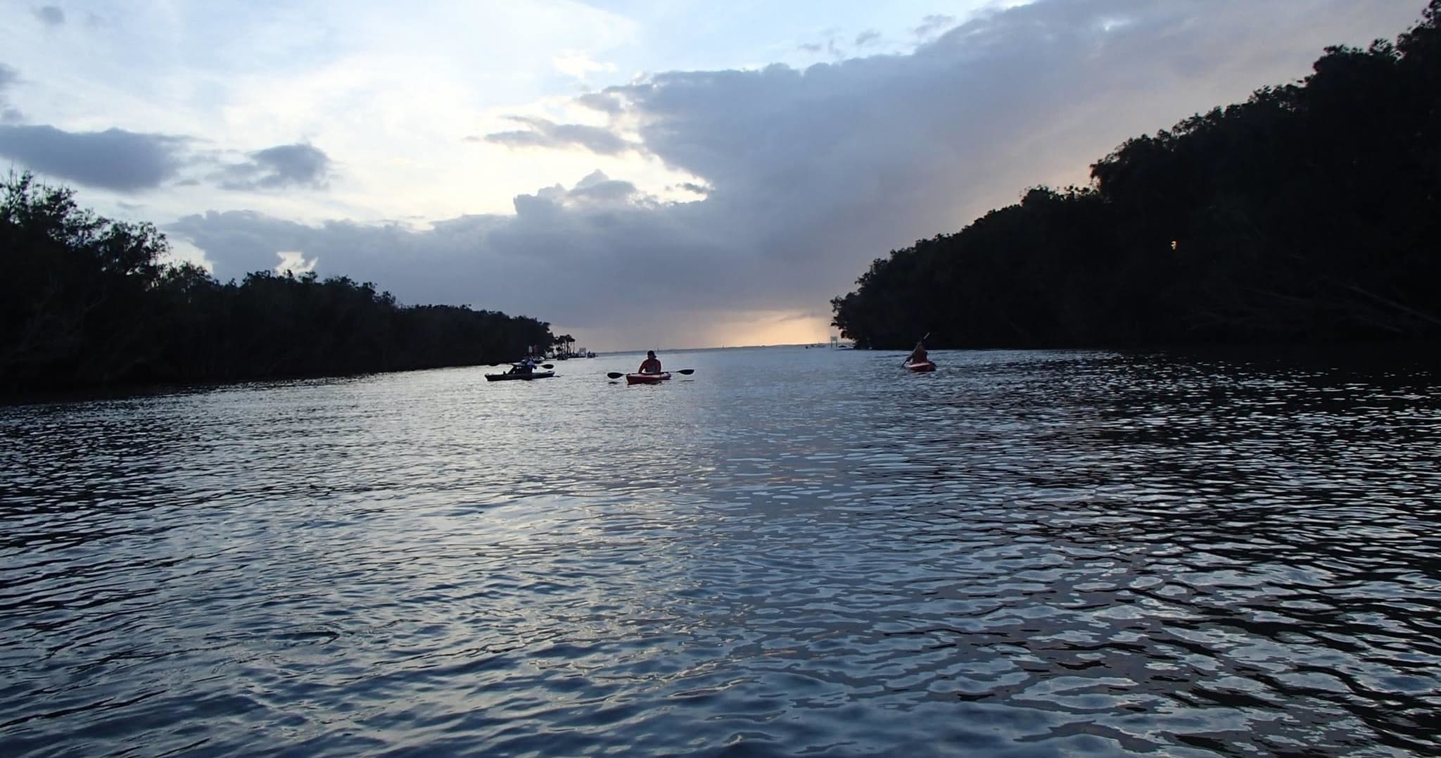 Kayakers paddling through mangrove river at golden hour sunset