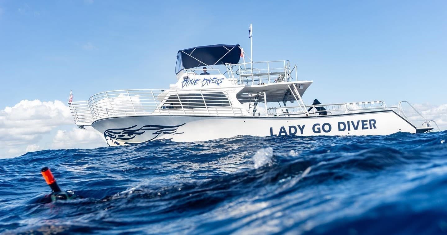 Dive catamaran on blue ocean ready for guided scuba excursions