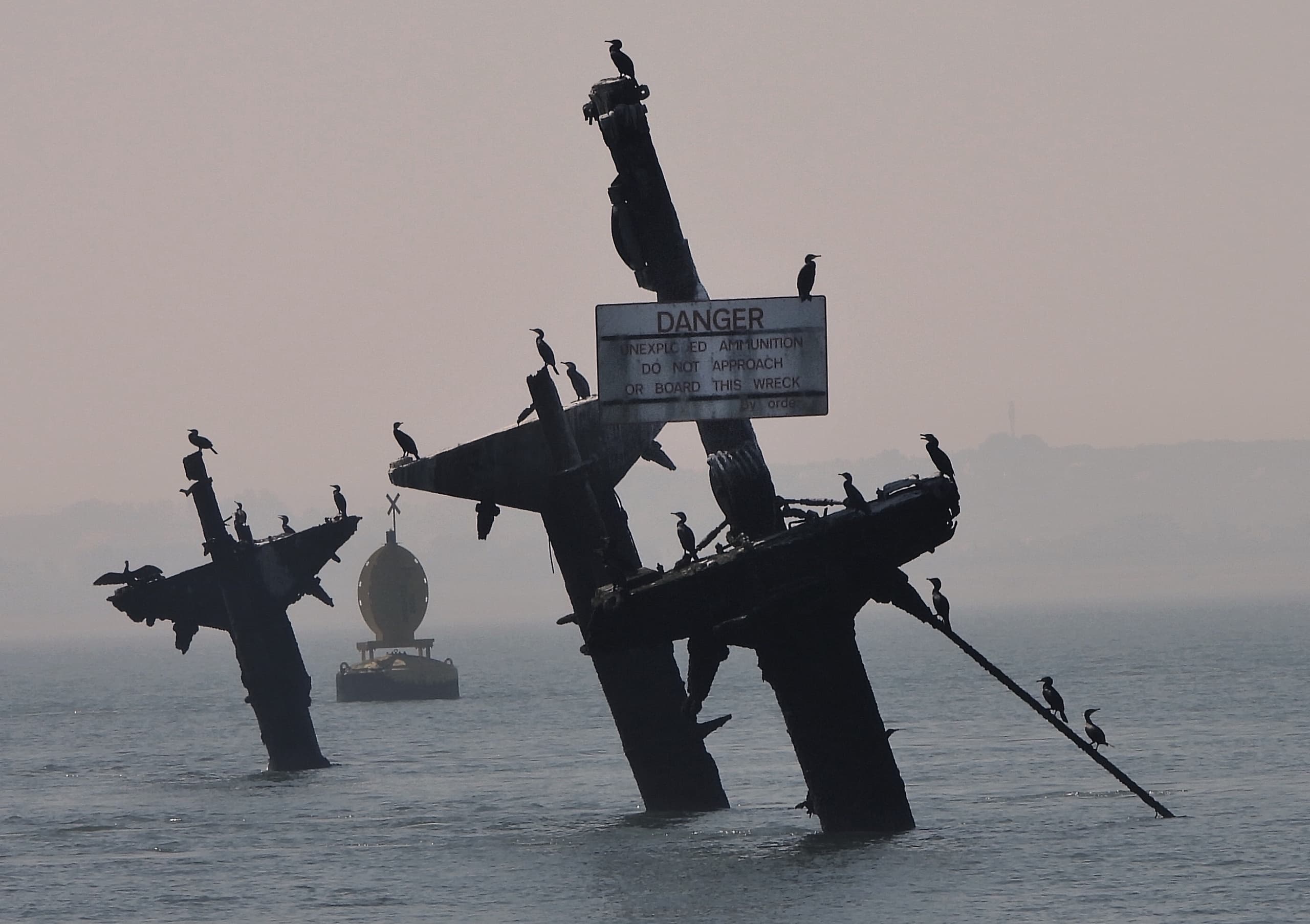 Sailing the Thames Estuary: Redsand Towers, Maunsell Forts & the Montgomery Wreck photo 2