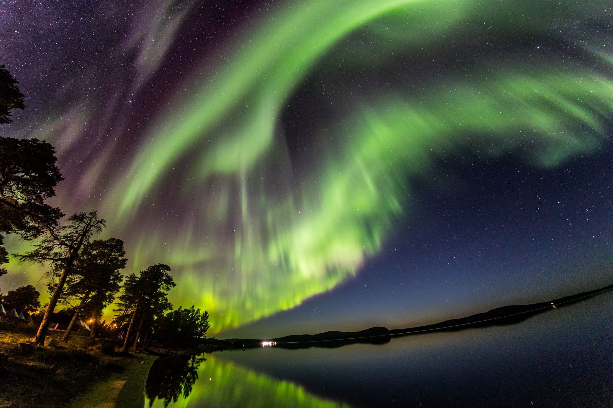 Vibrant northern lights dancing over forested lakeshore at night tour