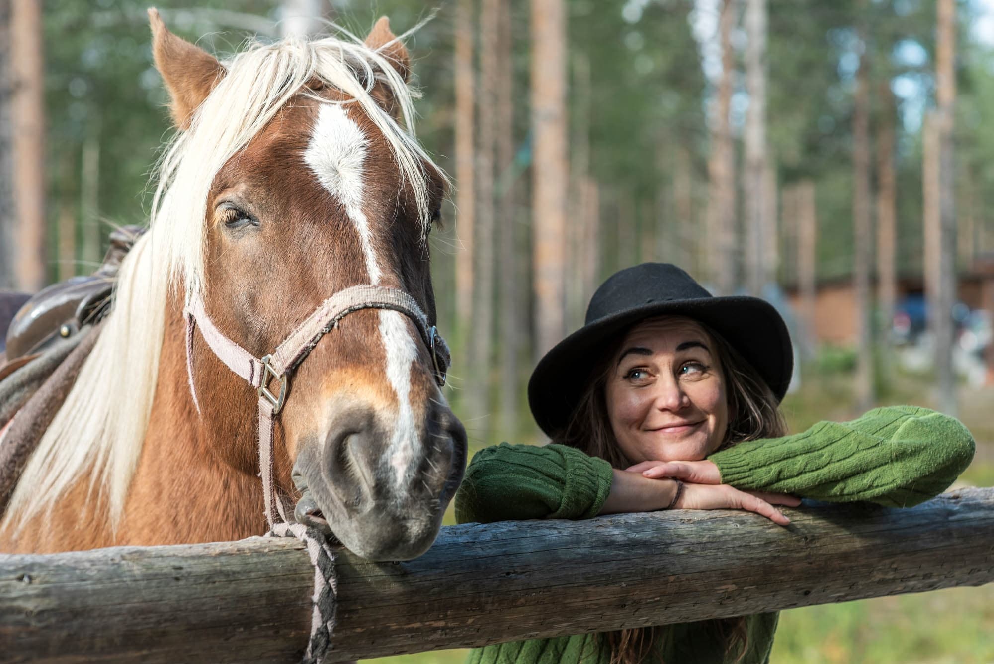 Horseback Riding & Wilderness in Lapland by Polar Lights Tours