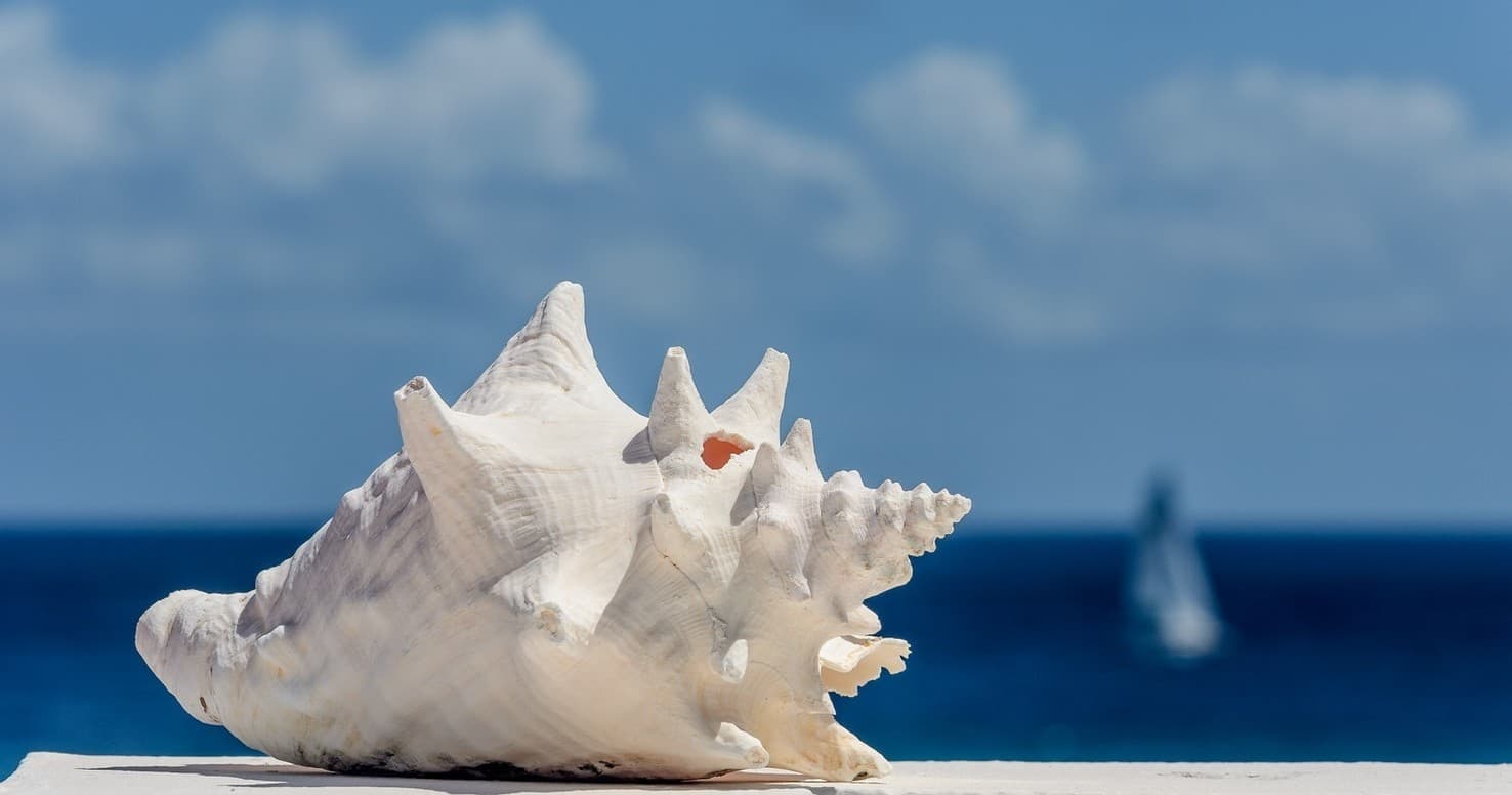 Conch Quest: Treasure Adventure in Key West, Florida