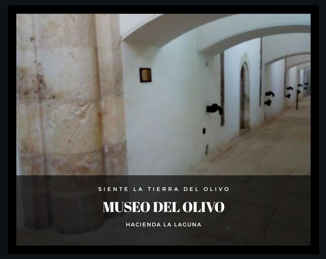 Cultural Heritage & Olive Heritage at Entrada Museo de la Cultura del Olivo
