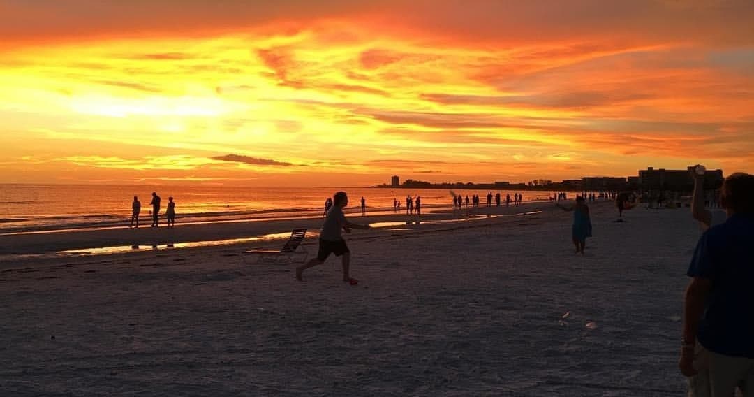 Sunset beach silhouettes on Sarasota shoreline, golden sky