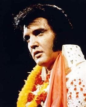 Elvis Luncheon Cruise on the Goodtime III: Cleveland Waterfront Views & Tribute Show