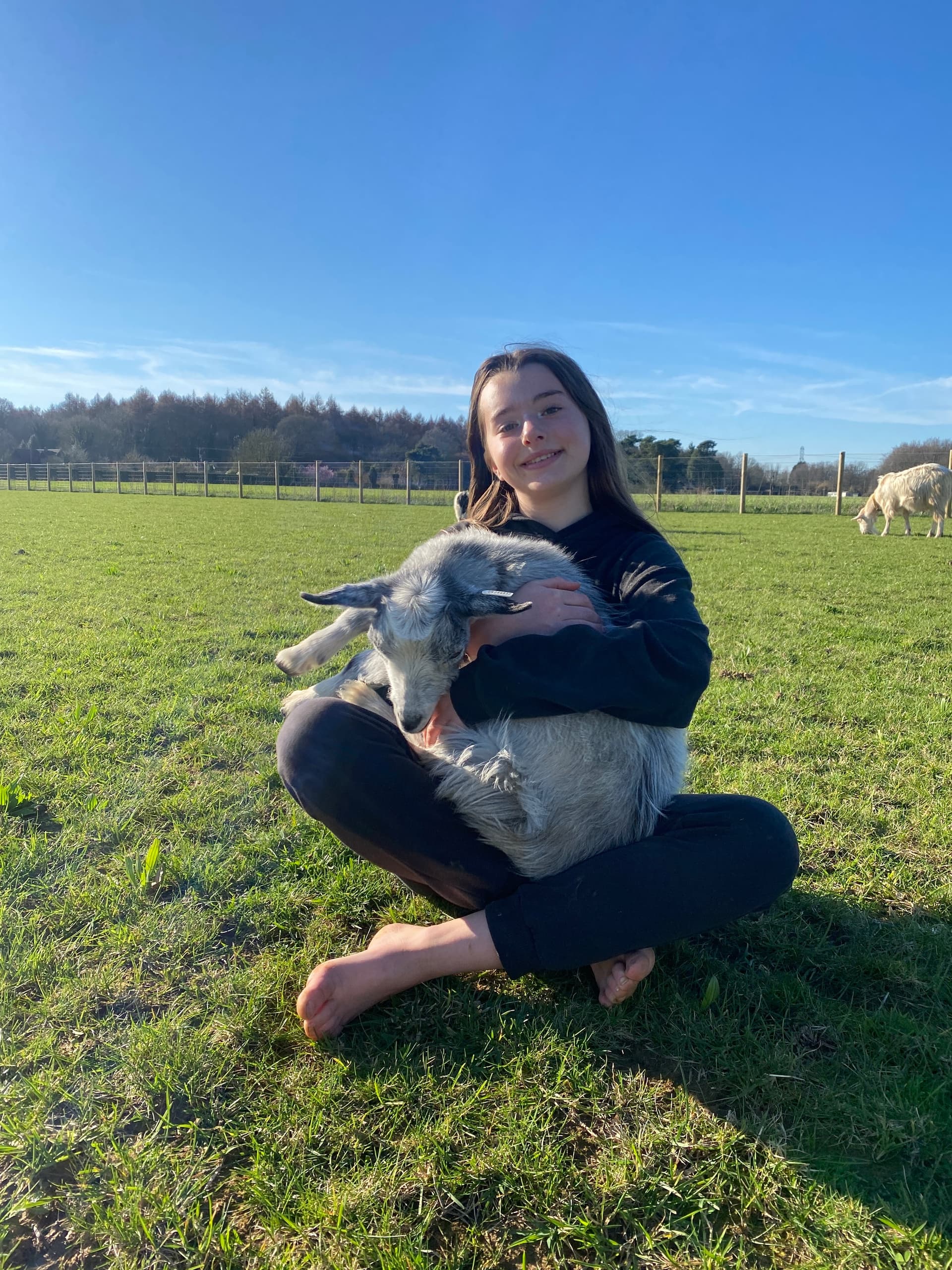 Quiet Time with Goats and Sheep at Wild Woodland Retreat — Elham, Kent photo 1