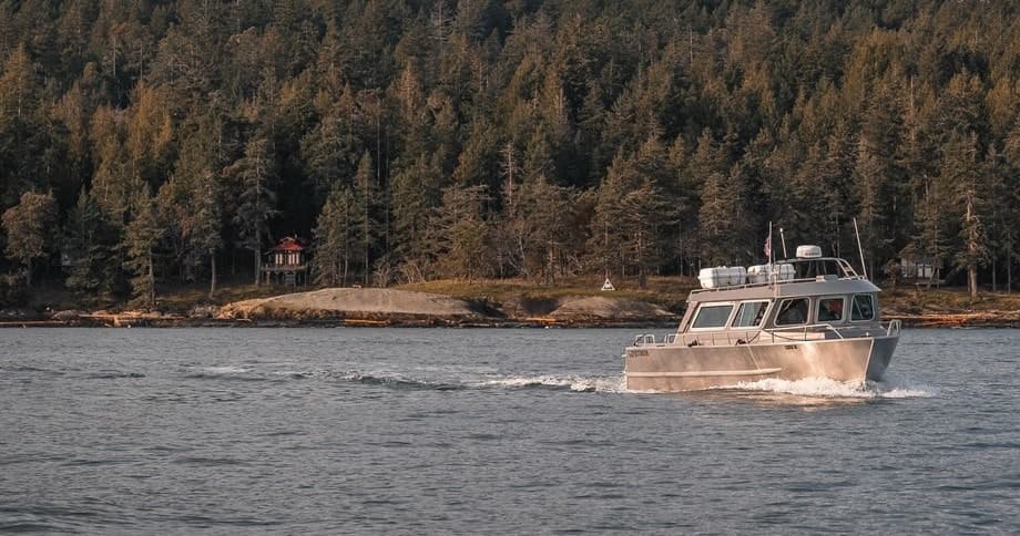 Private Whale Watching on Salish Sea with Vancouver Island Whale Watch