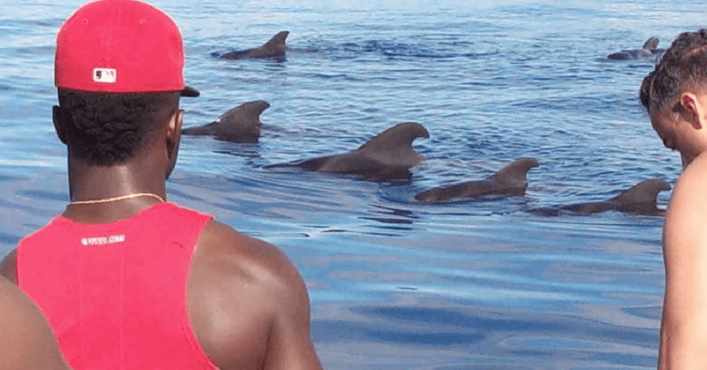 Whale Watching & Coastal Cruises with Tonina Cruises Tenerife