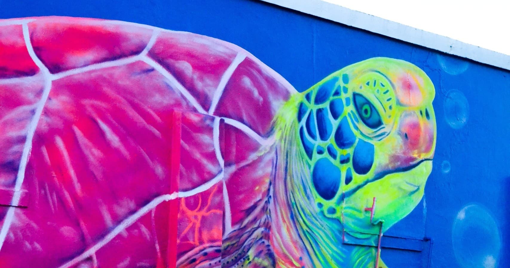 Colorful sea turtle mural on coastal building wall, vibrant street art