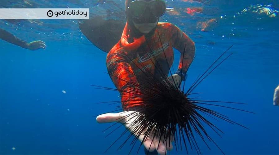 Snorkeling in Cala Natural Protected Area with Get Holiday in Santa Cruz de Tenerife