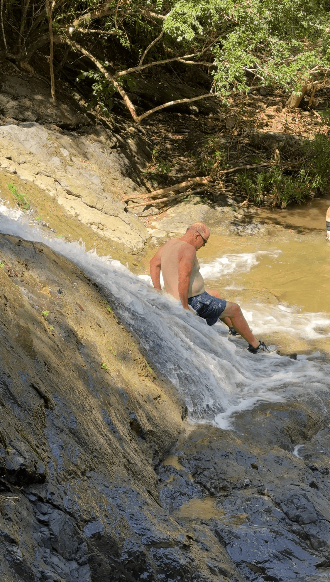 Rainforest & Waterfall Excursion with Jerrys Adventures in San Juan