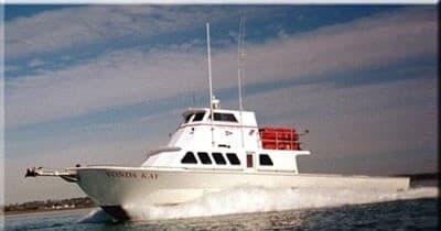 Fishing Adventures with Topsail Offshore