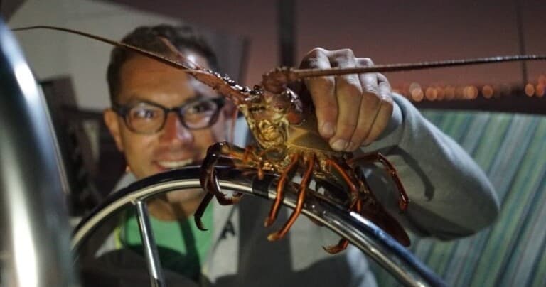Moonlight Lobstering in Santa Monica Bay: Captain Mancini’s 3-Hour Night Catch