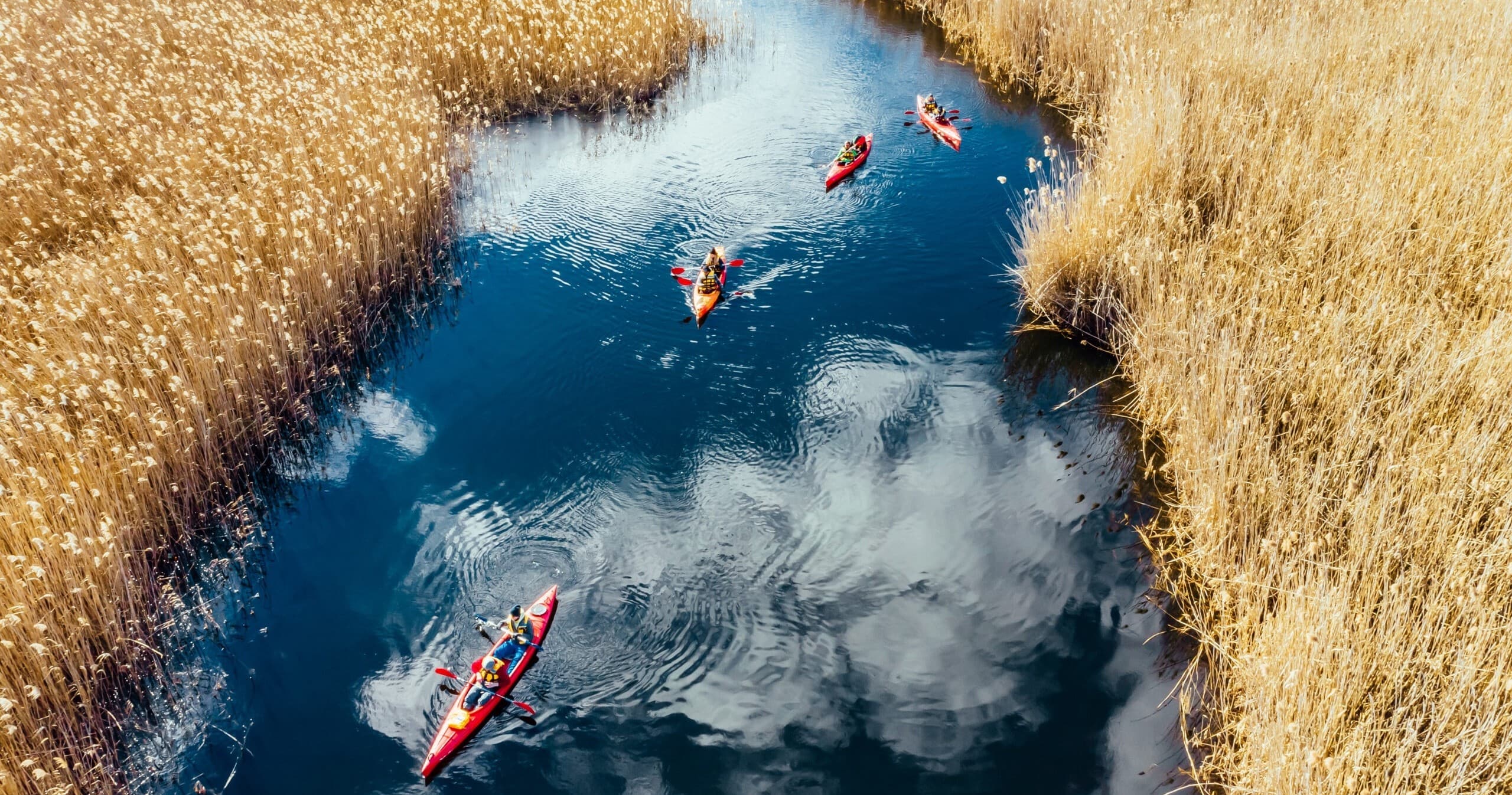 Float the Big Manistee River: Family-Friendly Canoe, Kayak & SUP Trips
