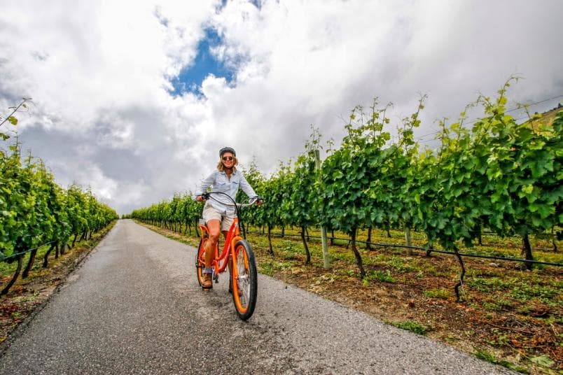 Wine Tasting Bike Tour with Talio Leeds in Yorkshire