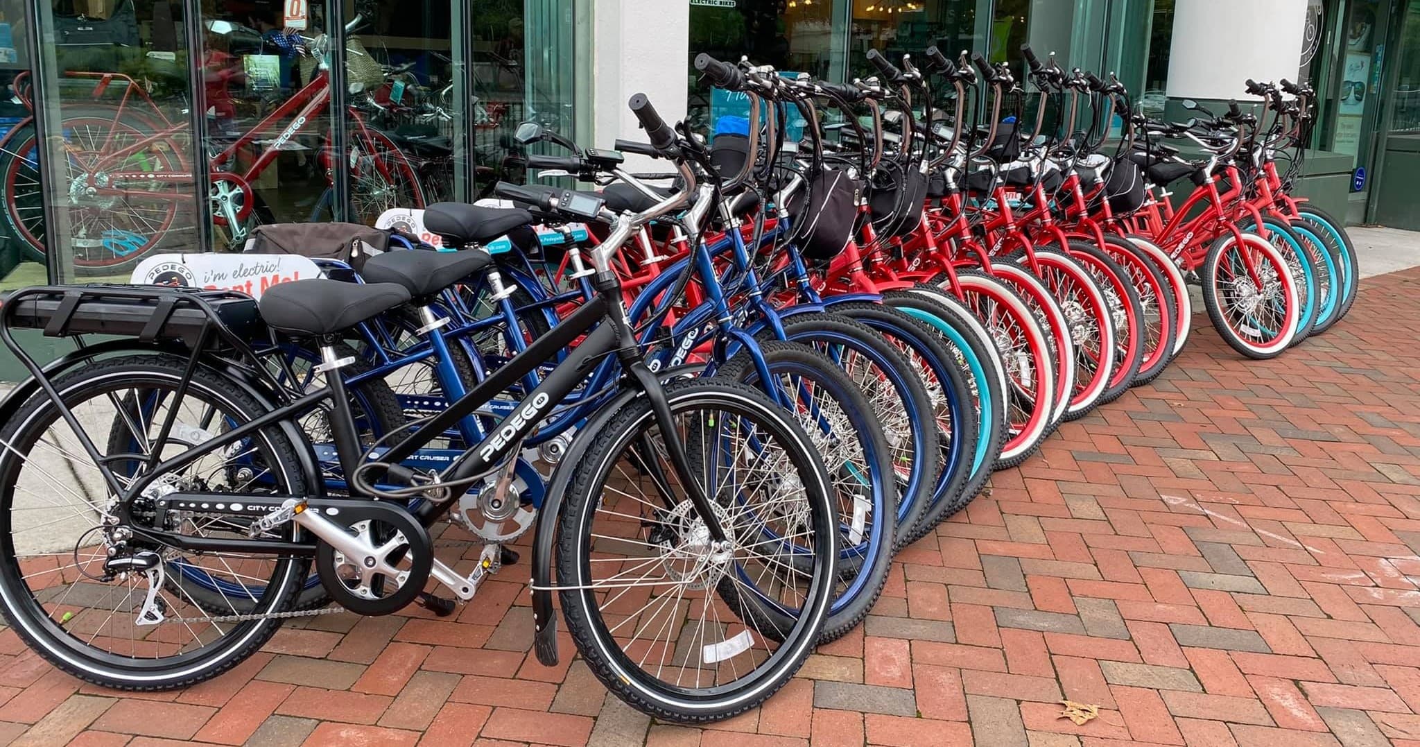 Explore Norfolk’s Elizabeth River Trail with a 24-Hour Electric Bike Rental