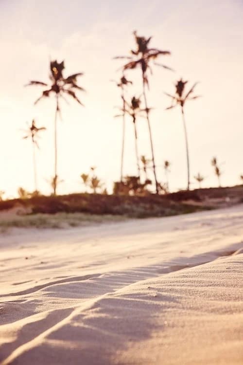 One Hour Water Rentals in St. Petersburg, Florida