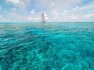 Key West Private Snorkel Charter with Capt. Scott — Florida Keys Snorkeling Trips