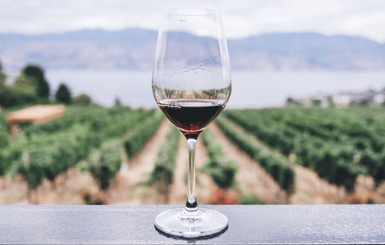 Exclusive Wine Tour in McMinnville, Oregon