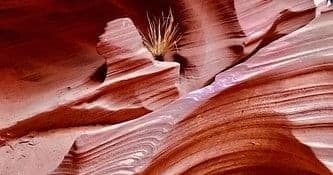 Exploring Lower Antelope Canyon and Horseshoe Bend: A Must-Do Adventure in Page, Arizona