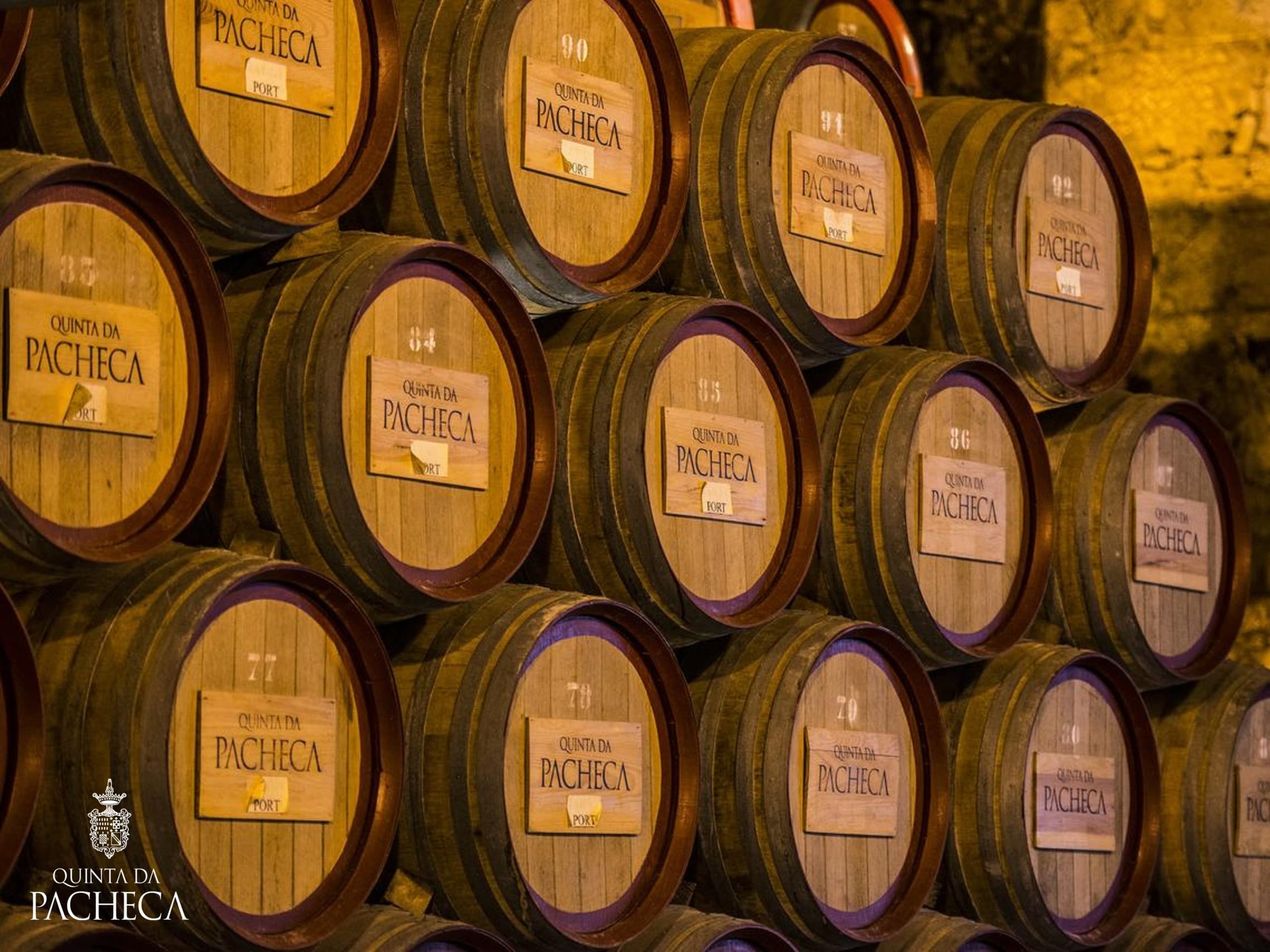 Inside Quinta da Pacheca: A One-Hour Douro Wine Discovery